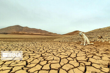 تصاویر | خشک شدن آب سد «عبدل آباد» بجنورد