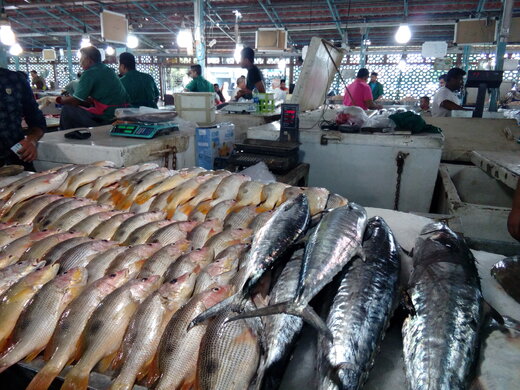  از قیمت ماهی با خبر شوید/ جدول