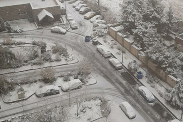 ببینید | برف تهران را زیباتر کرد