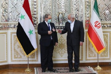 Zarif outlines details of talks with Syrian counterpart