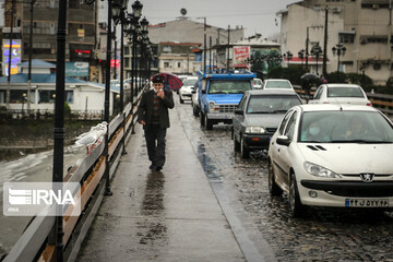 پرندگان سیبری در شهر