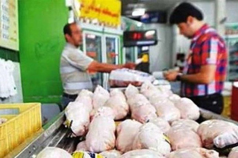 توزیع روزانه ۸۰۰ تن مرغ گرم در پایتخت / نبود تقاضا برای مرغ منجمد