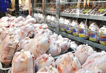 مرغداران بار دیگر خواستار افزایش قیمت مصوب مرغ شدند 