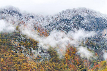 عکس | تصویری بی‌نظیر از طبیعت شهسوار مازندران