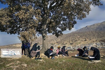 در جست‌وجوی شبکه