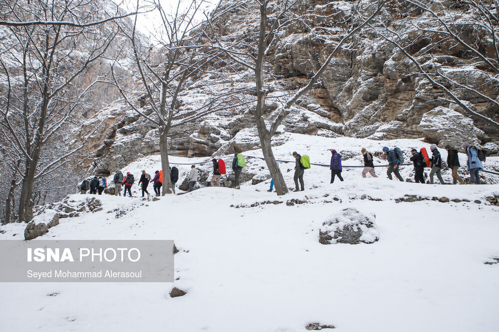 بارش برف در ییلاقات مشهد