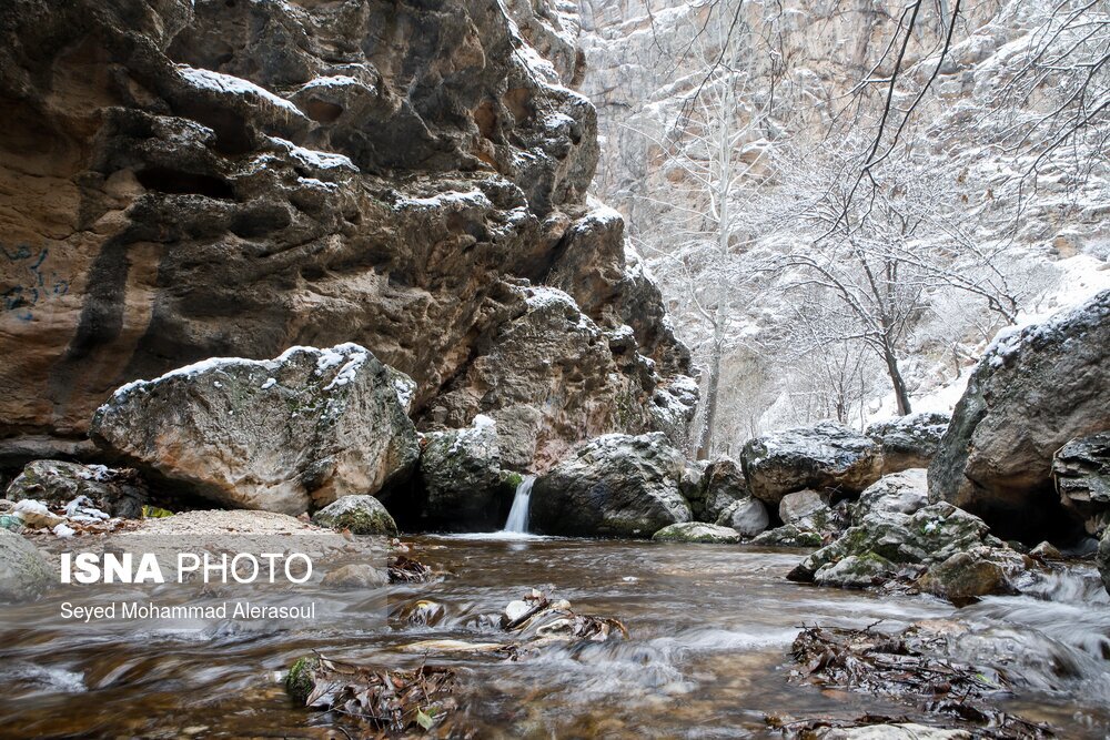 بارش برف در ییلاقات مشهد