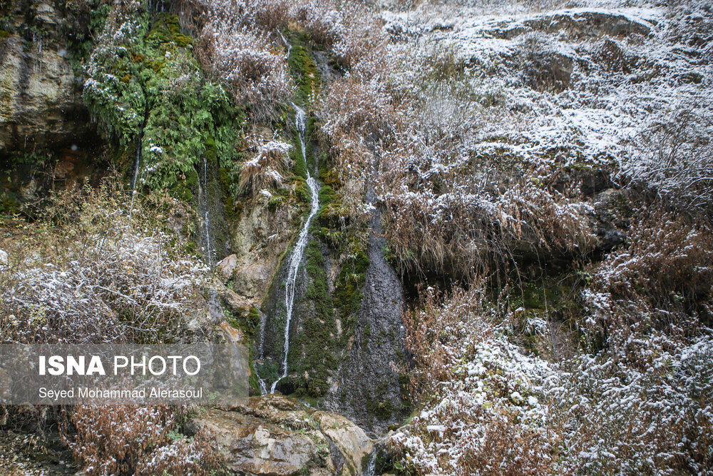بارش برف در ییلاقات مشهد