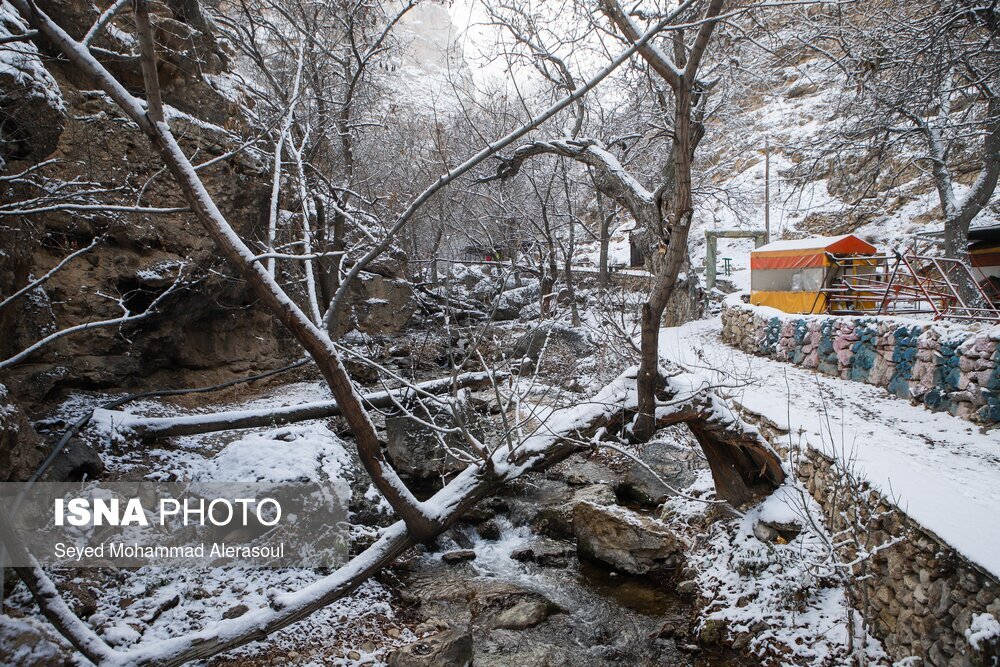 بارش برف در ییلاقات مشهد