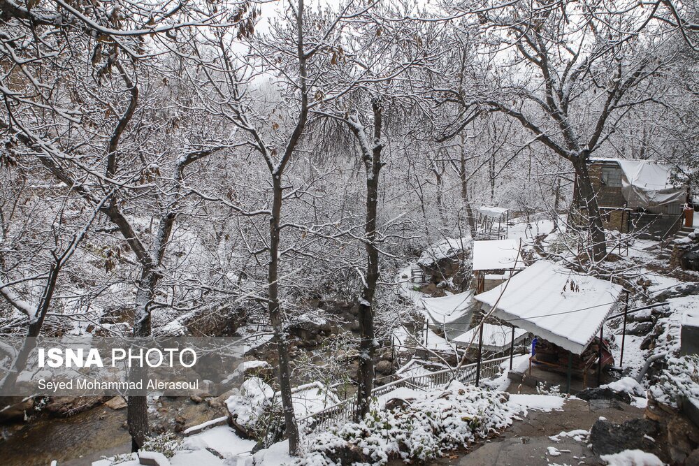 بارش برف در ییلاقات مشهد