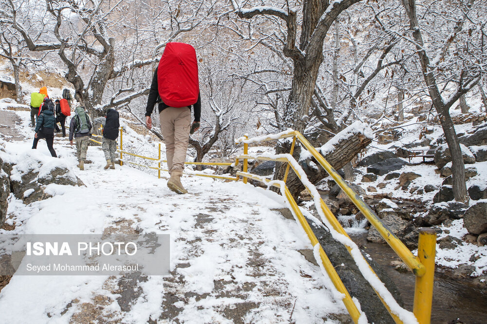بارش برف در ییلاقات مشهد
