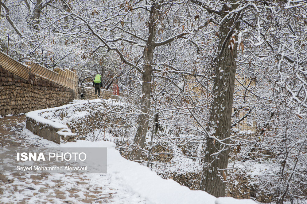 بارش برف در ییلاقات مشهد