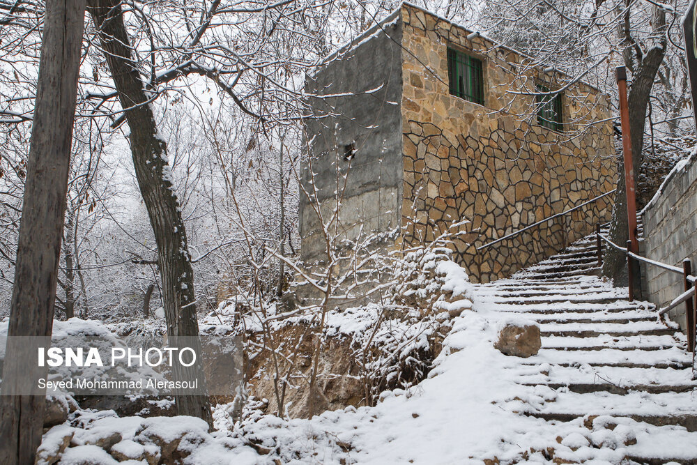 بارش برف در ییلاقات مشهد