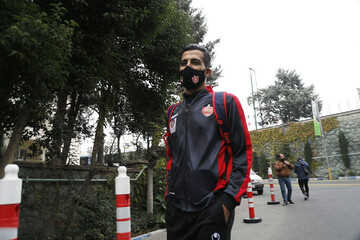 وحید امیری