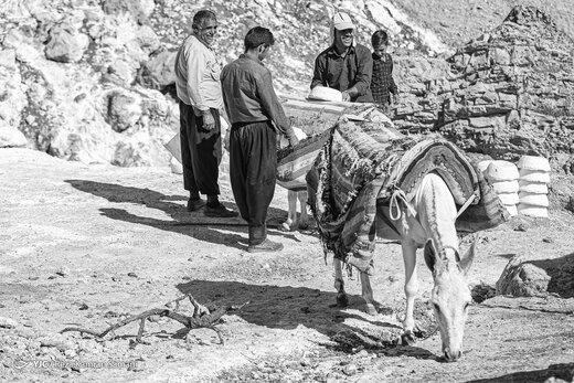 مصائب زندگی زنان نمکی