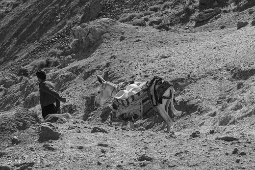 مصائب زندگی زنان نمکی