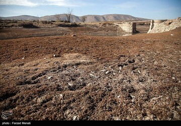تلف شدن هزاران قطعه ماهی رودخانه راوند اسلام آباد غرب
