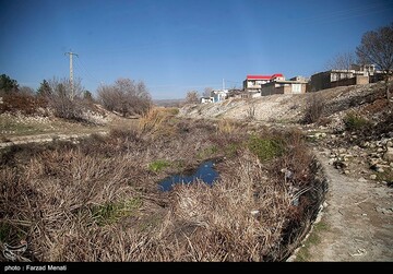 تلف شدن هزاران قطعه ماهی رودخانه راوند اسلام آباد غرب