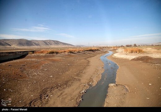 تلف شدن هزاران قطعه ماهی رودخانه راوند اسلام آباد غرب