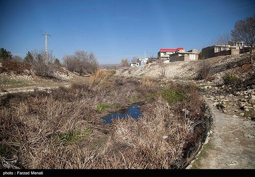 تلف شدن هزاران قطعه ماهی رودخانه راوند اسلام آباد غرب