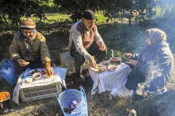 آخرین روزی کارگران فصلی - گلستان