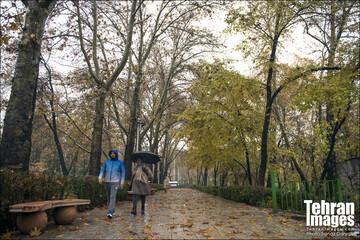 بارش باران در تهران
