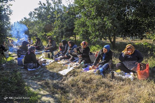 آخرین روزی کارگران فصلی - گلستان
