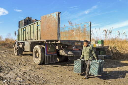 آخرین روزی کارگران فصلی - گلستان