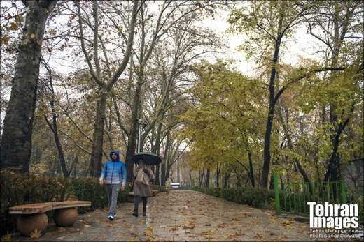 بارش باران در تهران