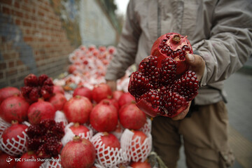 تصاویر | «آخ تو شب یلدای منی»؛ آخرین قاب‌ها از آخرین یلدای قرن