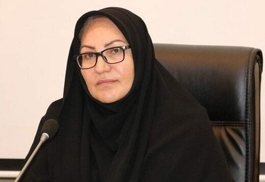 پیام تبریک مدیرکل تعاون، کار و رفاه اجتماعی کهگیلویه و بویراحمد به مناسبت میلاد حضرت زینب (س) و روز پرستار