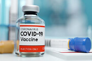 زالی: جهش ویروس کووید ۱۹ ممکن است اثربخشی واکسن را زیر سئوال ببرد
