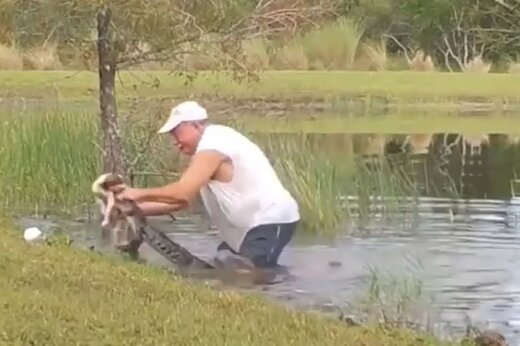 ببینید | نجات دادن توله سگ از دهان تمساح توسط یک مرد شجاع