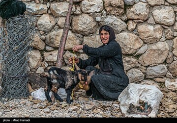 یک روز بارانی در روستای کتک -خوزستان
