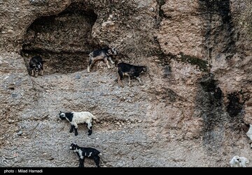یک روز بارانی در روستای کتک -خوزستان