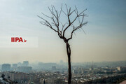تصاویر | قاب‌هایی از غرق شدن تهران در آلودگی
