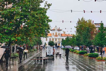 تصاویر | دلایل سیاوش صفاریان‌پور برای کم بودن نام‌گذاری فقط یک روز برای رشت