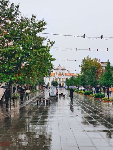 ۱۲دی روز رشت