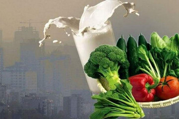 اینفوگرافیک | بهترین و بدترین غذاها در هوای آلوده