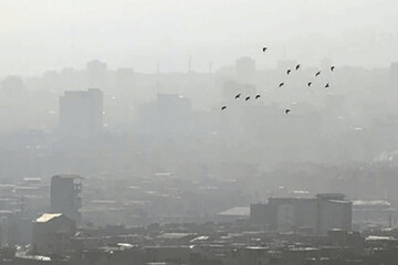 آیا نیروگاه‌های تهران مازوت می‌سوزانند؟/ عامل آلودگی هوای پایتخت چیست؟ 