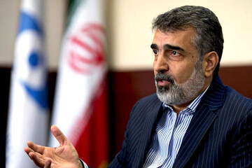 کمالوندی دستاوردهای سفر گروسی به تهران را تشریح کرد