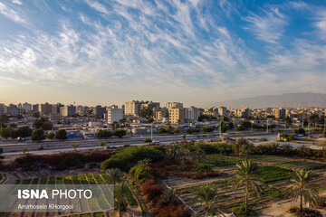 تصاویر | تنها مانده؛ «باغ شاهی»