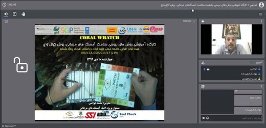 آموزش ۶۰ همیار بومی حافظ آبسنگ‌های مرجانی خلیج‌فارس 