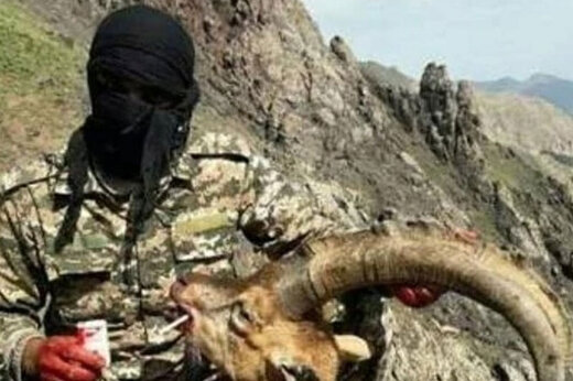 ببینید | سالارخان دستگیر شد