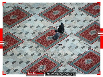 دیدنی‌ترین عکس‌های جهان در ۲۴ ساعت گذشته
