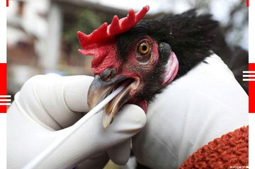 تصاویر | دیدنی‌ترین عکس‌های جهان در ۲۴ ساعت گذشته