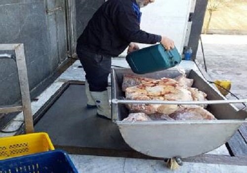 واحد عرضه مرغ و گوشت غیربهداشتی در شهرستان رباط‌کریم با دستور قضایی پلمب شد