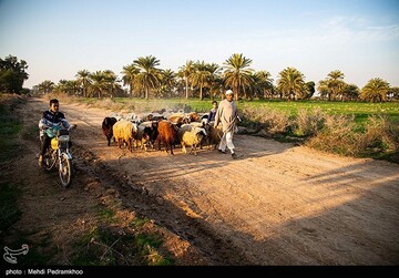 علی دانش آموز روستای علوه