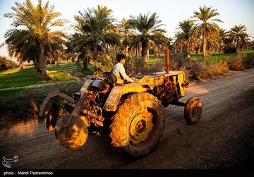 علی دانش آموز روستای علوه