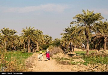 علی دانش آموز روستای علوه